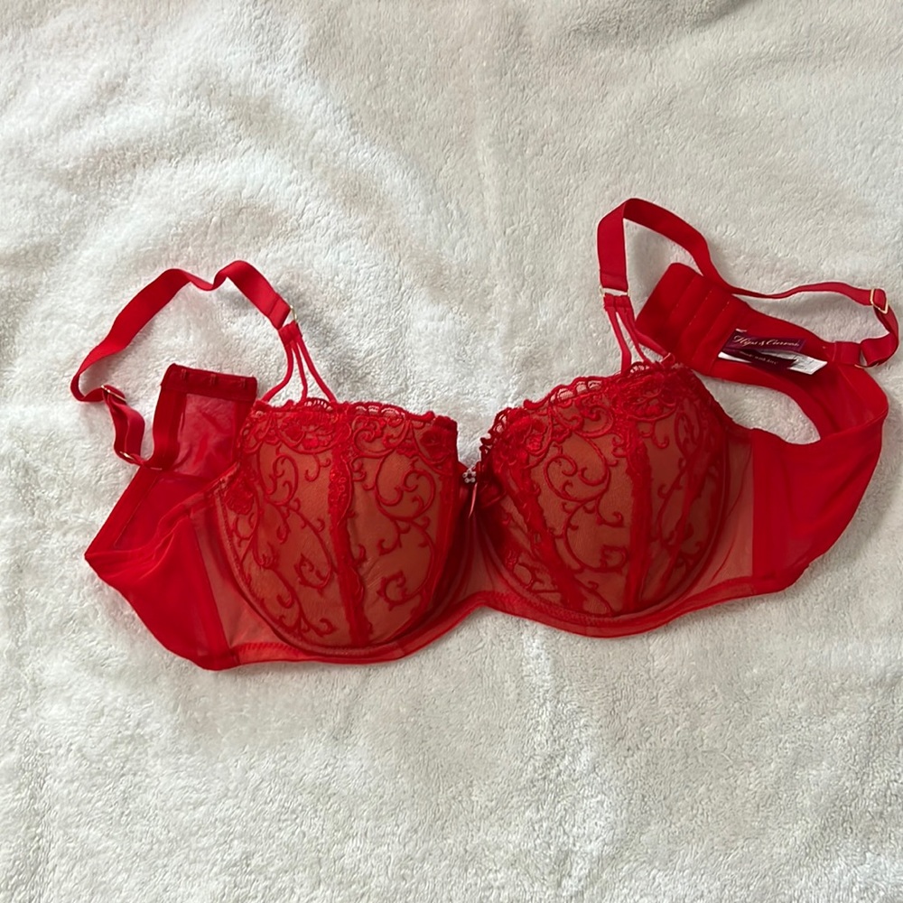 Red lace bra